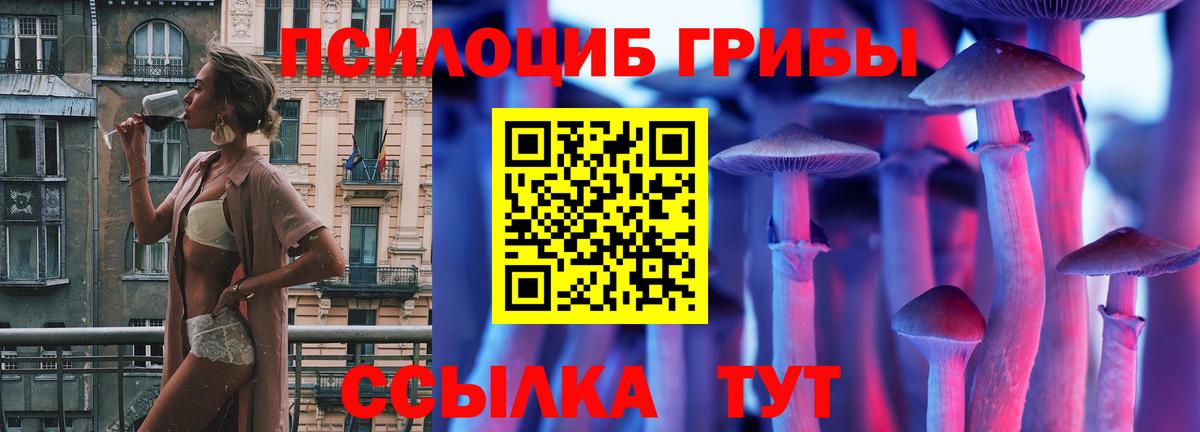 Туймазы  Псилоцибиновые грибы GOLDEN TEACHER  Вход с VPN 